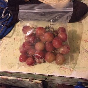 Meet your Posher, Wayne